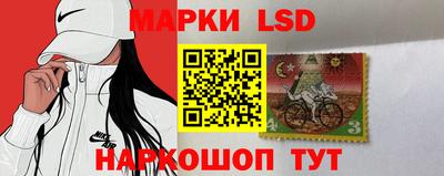 spice Заводоуковск