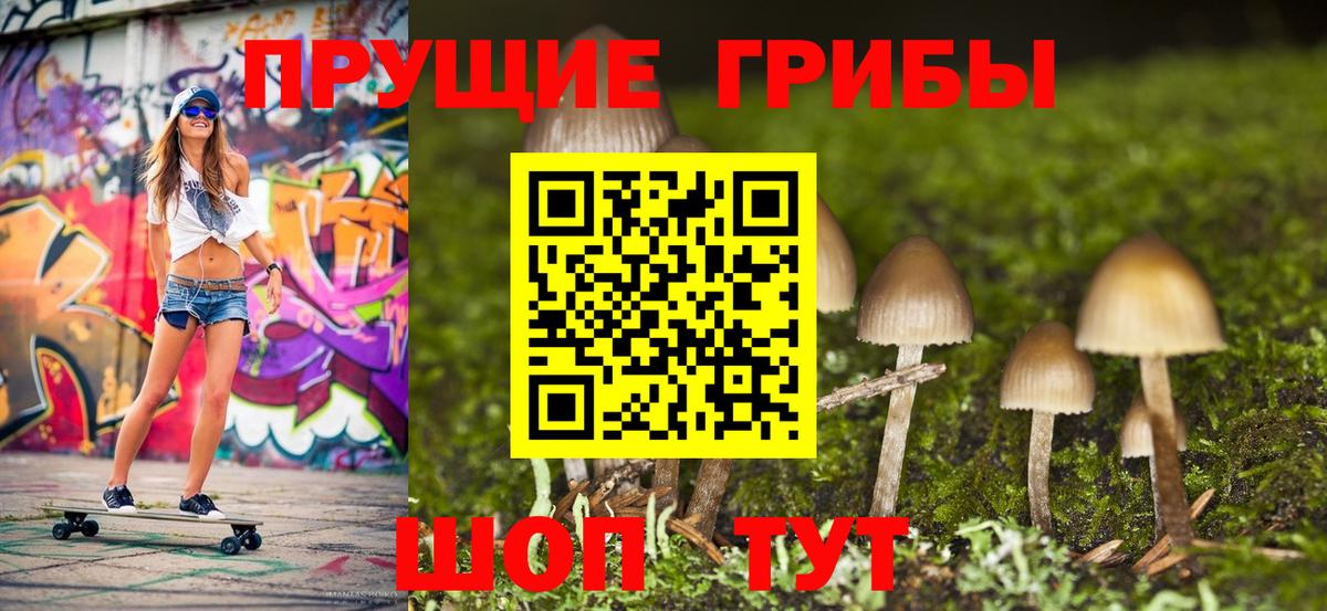 Псилоцибиновые грибы мухоморы Гусев