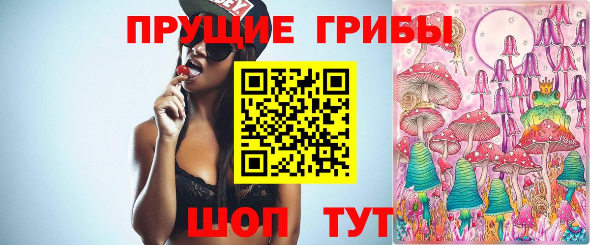 Гусев  Псилоцибиновые грибы мицелий  где купить наркоту  Вход с VPN 
